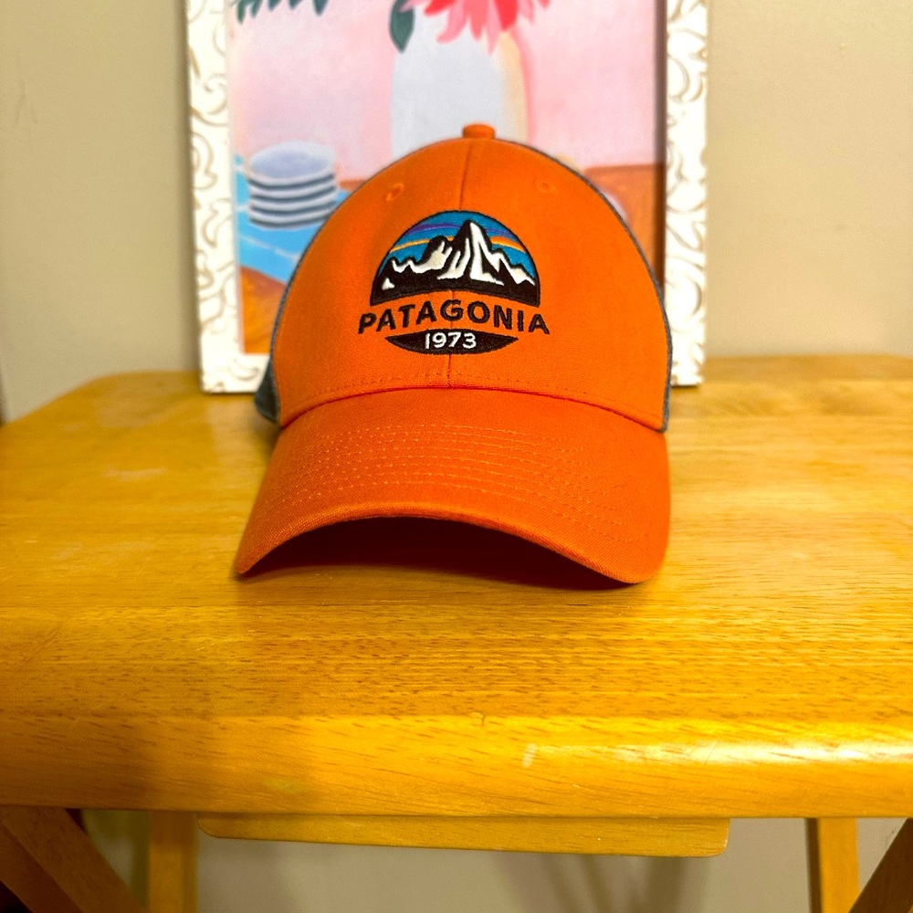 Patagonia Mesh Patch Sunset
Mountain Color Panel Trucker Hat Cap